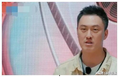 娱乐圈吃瓜爆料电影叫什么,揭秘“吃瓜爆料”电影背后的真相