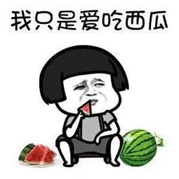 吃瓜娱乐分享,带你一网打尽！